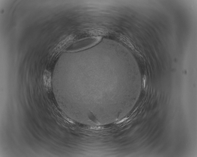 X0000086271251200703291426
