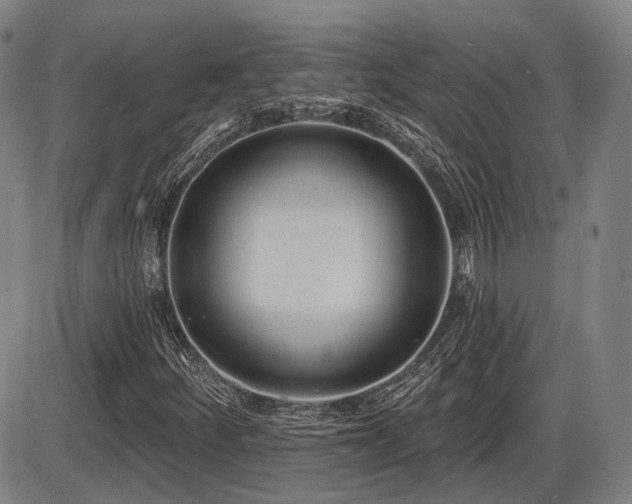 X0000086271252200703291426
