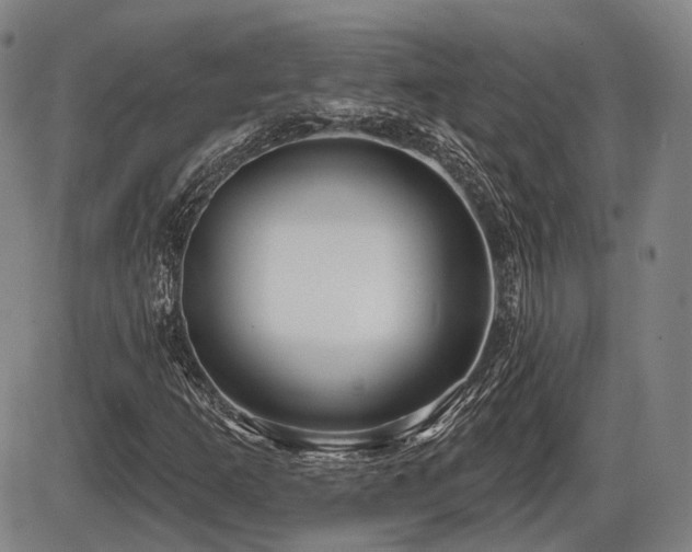 X0000086271253200703291426