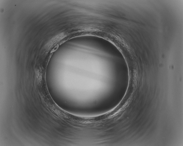X0000086271257200703291426