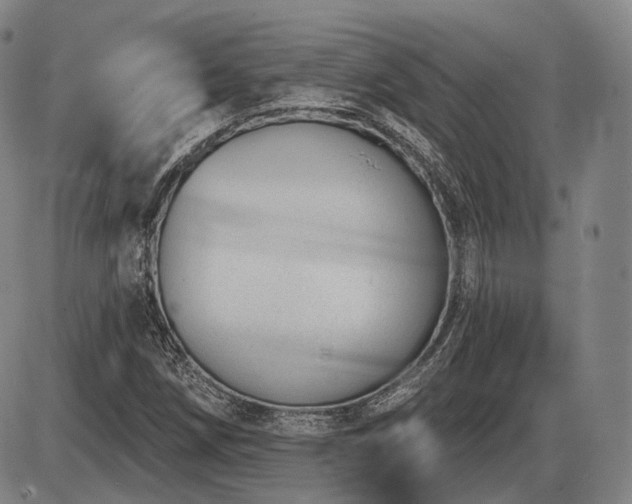X0000086271258200703291426