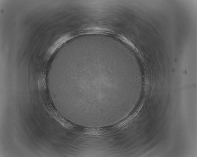 X0000086271259200703291426