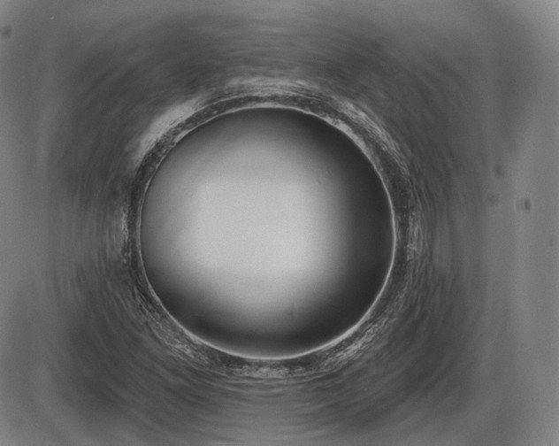 X0000086271261200703291426