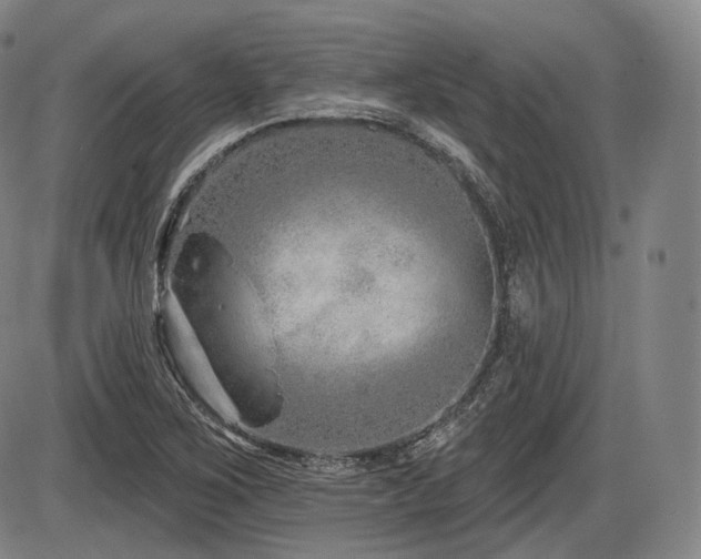 X0000086271267200703291426