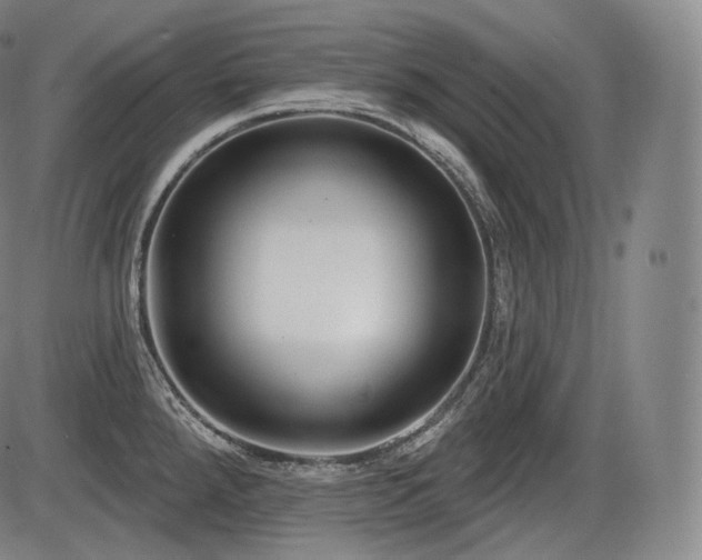 X0000086271288200703291426