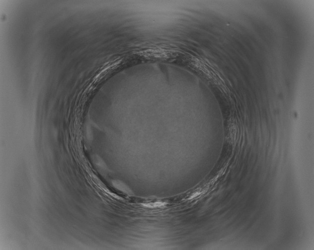 X0000086271297200703291425