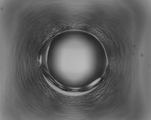 X0000086271298200703291425