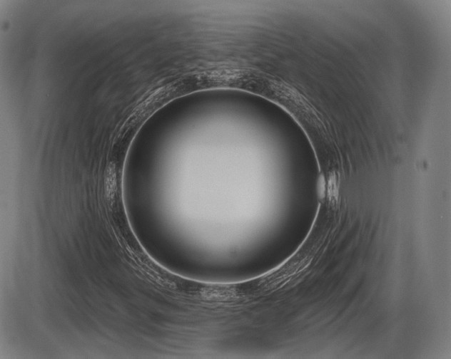 X0000086271299200703291425
