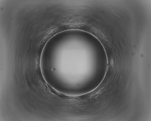 X0000086271300200703291425