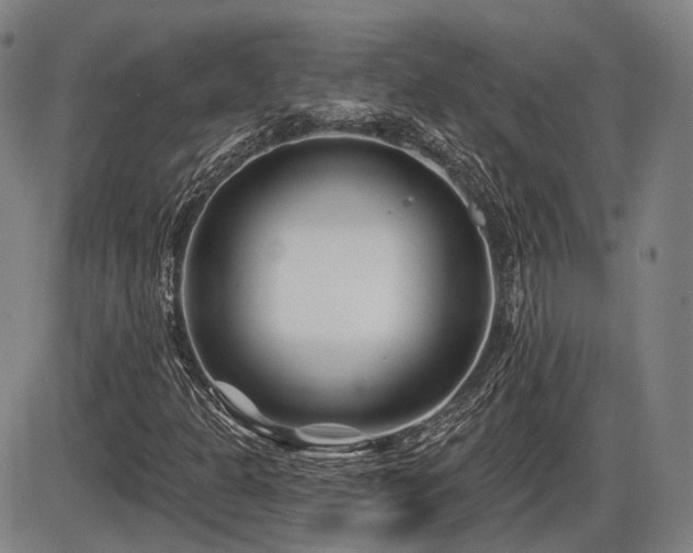 X0000086271301200703291425