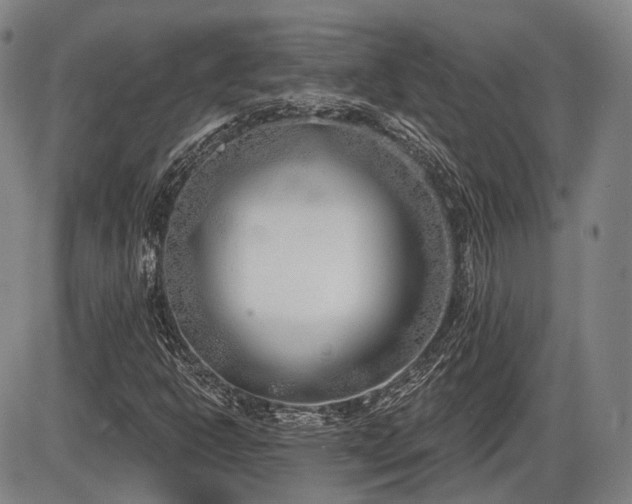 X0000086271302200703291425