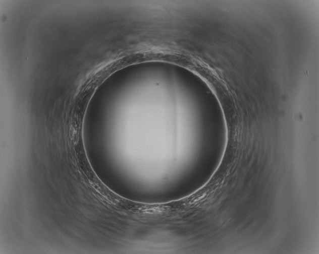 X0000086271303200703291425