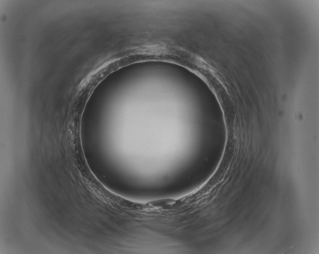 X0000086271304200703291425
