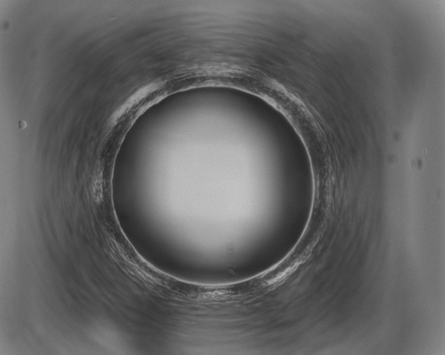 X0000086271306200703291425