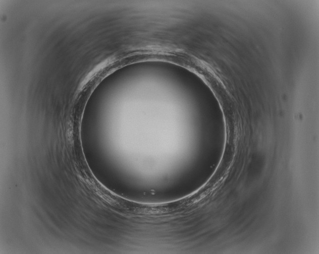 X0000086271307200703291425