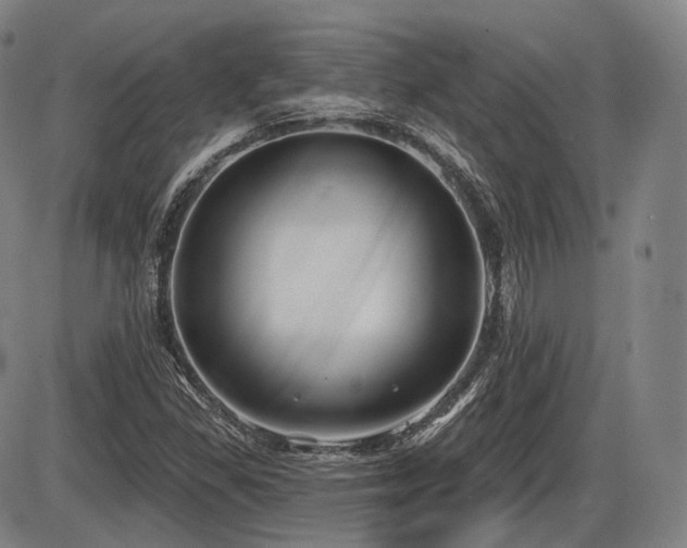 X0000086271309200703291425