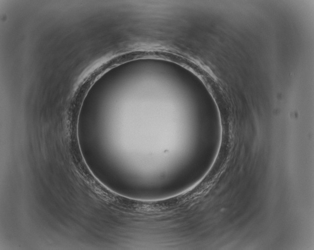 X0000086271311200703291425