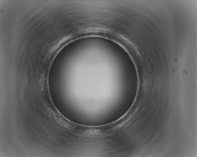 X0000086271313200703291425