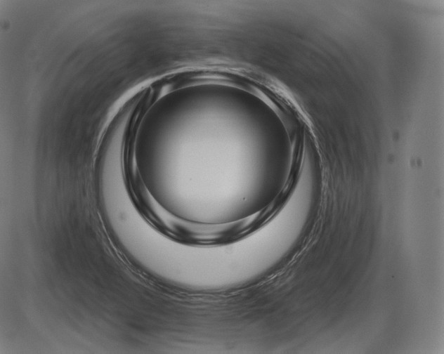X0000086271320200703291425