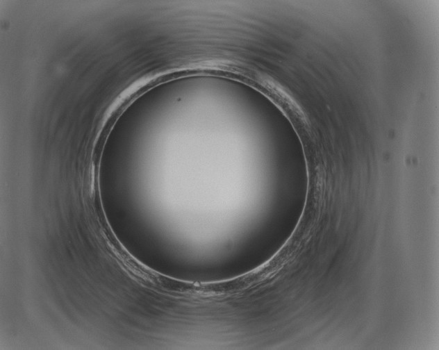 X0000086271324200703291425