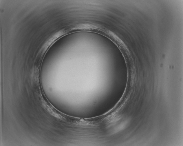 X0000086271329200703291425