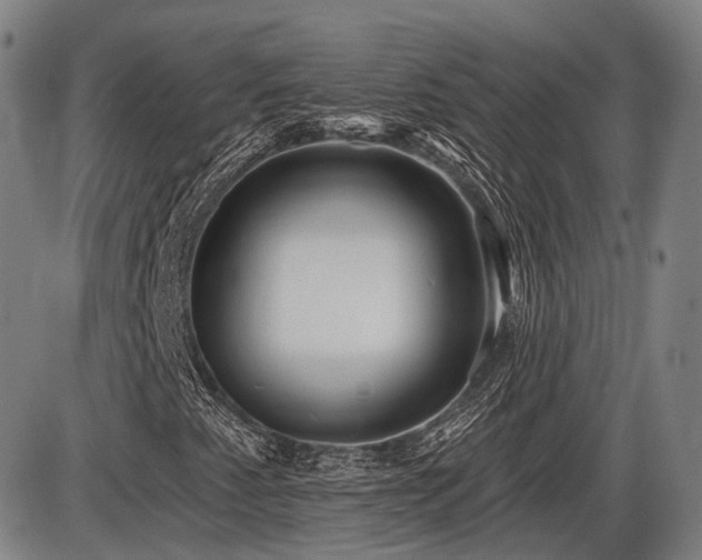 X0000086271345200703291425