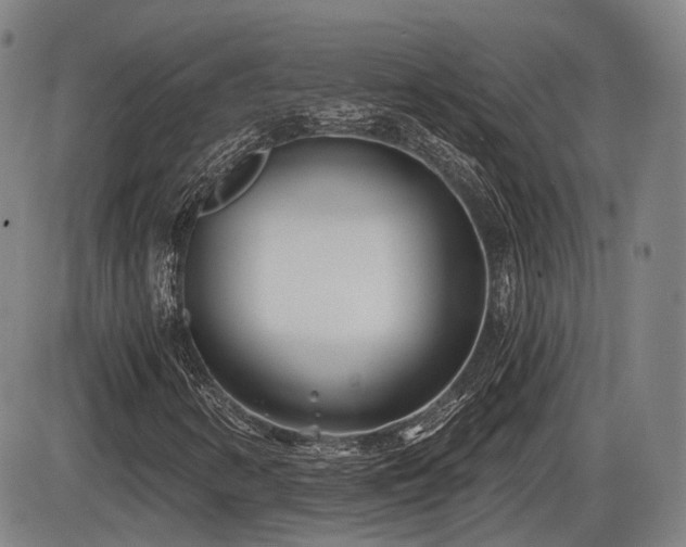 X0000086271346200703291425