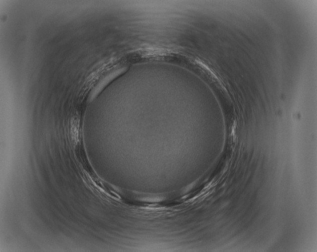 X0000086271348200703291425