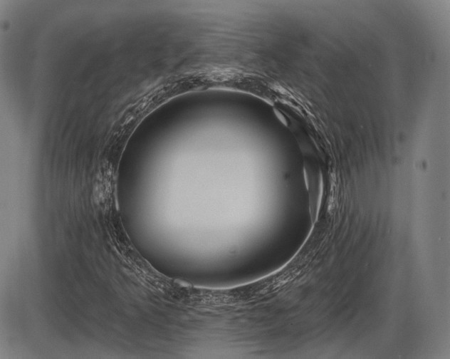 X0000086271349200703291425