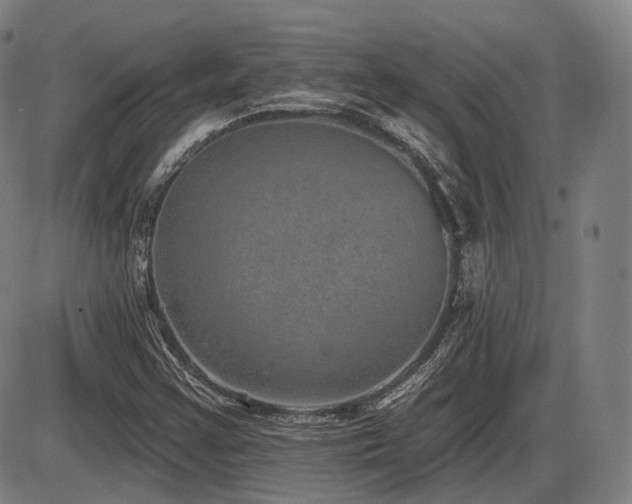 X0000086271355200703291425