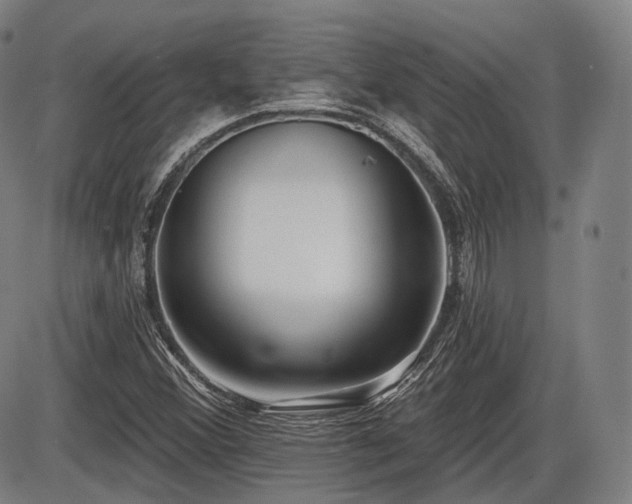 X0000086271356200703291425