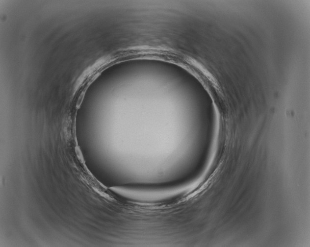 X0000086271357200703291425