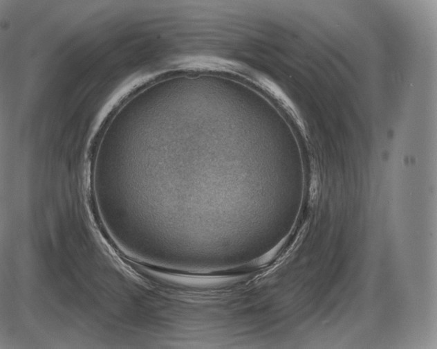 X0000086271376200703291424