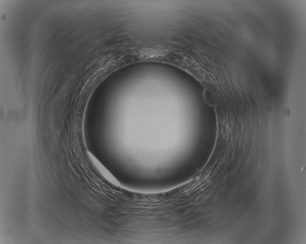 X0000086271393200703291423