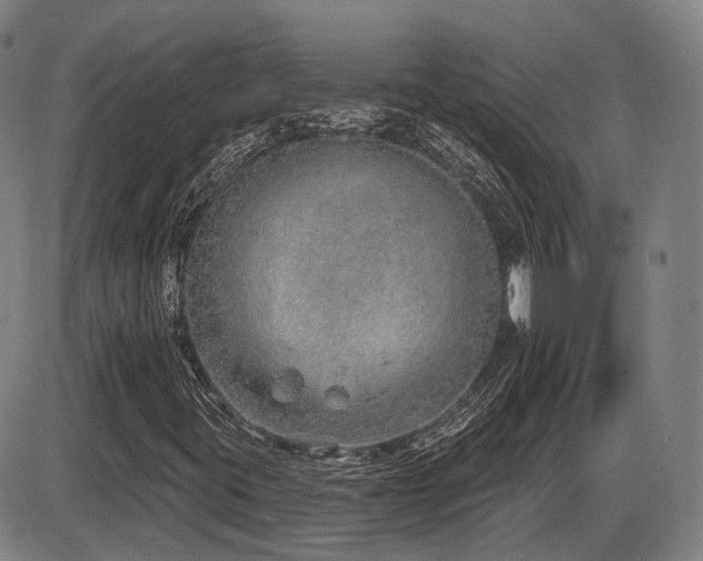 X0000086271395200703291423