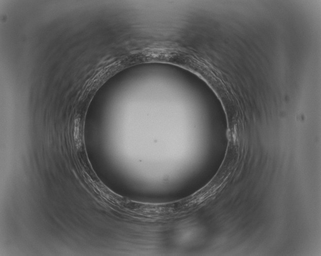 X0000086271396200703291423