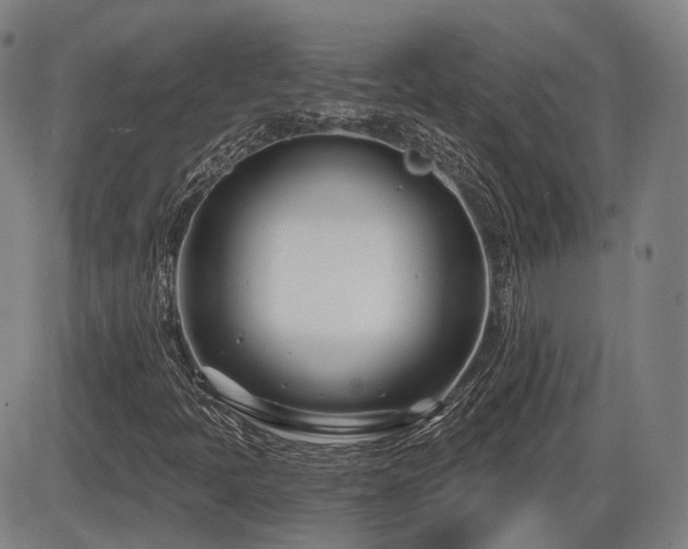 X0000086271397200703291423