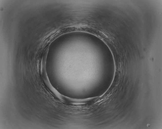X0000086271398200703291423