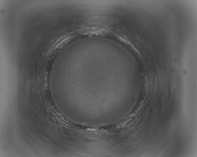 X0000086271399200703291423