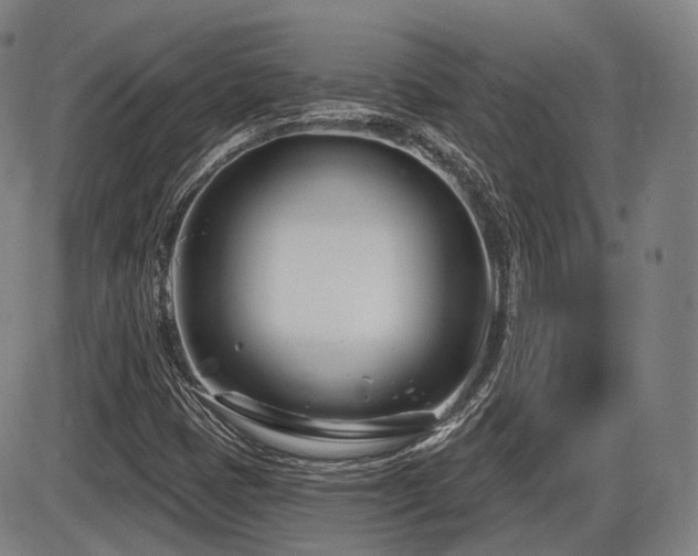 X0000086271401200703291423