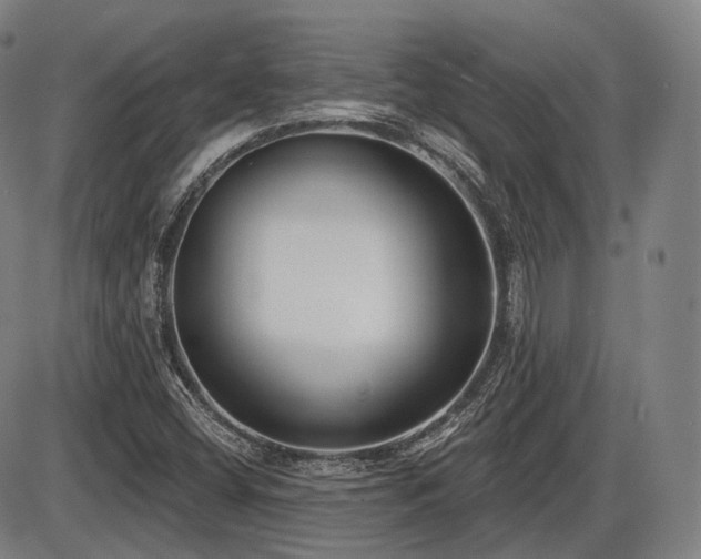 X0000086271404200703291424