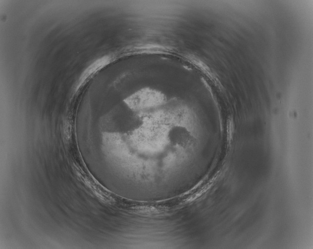 X0000086271405200703291424