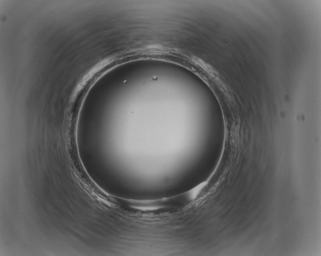 X0000086271410200703291424