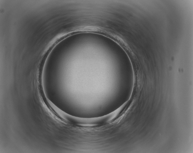 X0000086271422200703291424