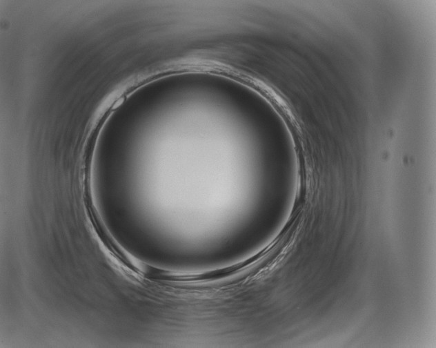 X0000086271430200703291424