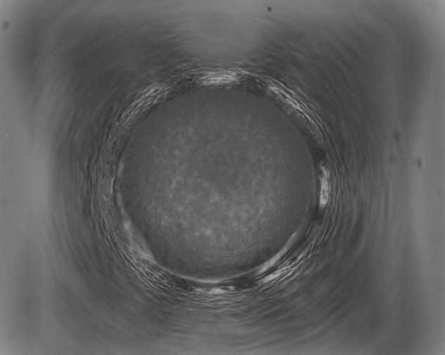 X0000086271441200703291423