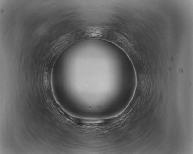 X0000086271442200703291423