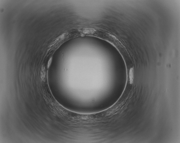 X0000086271443200703291423
