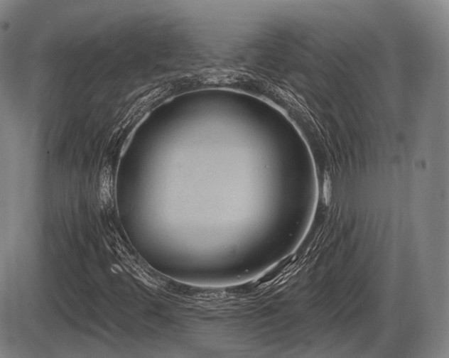 X0000086271444200703291423