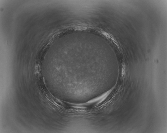 X0000086271445200703291423